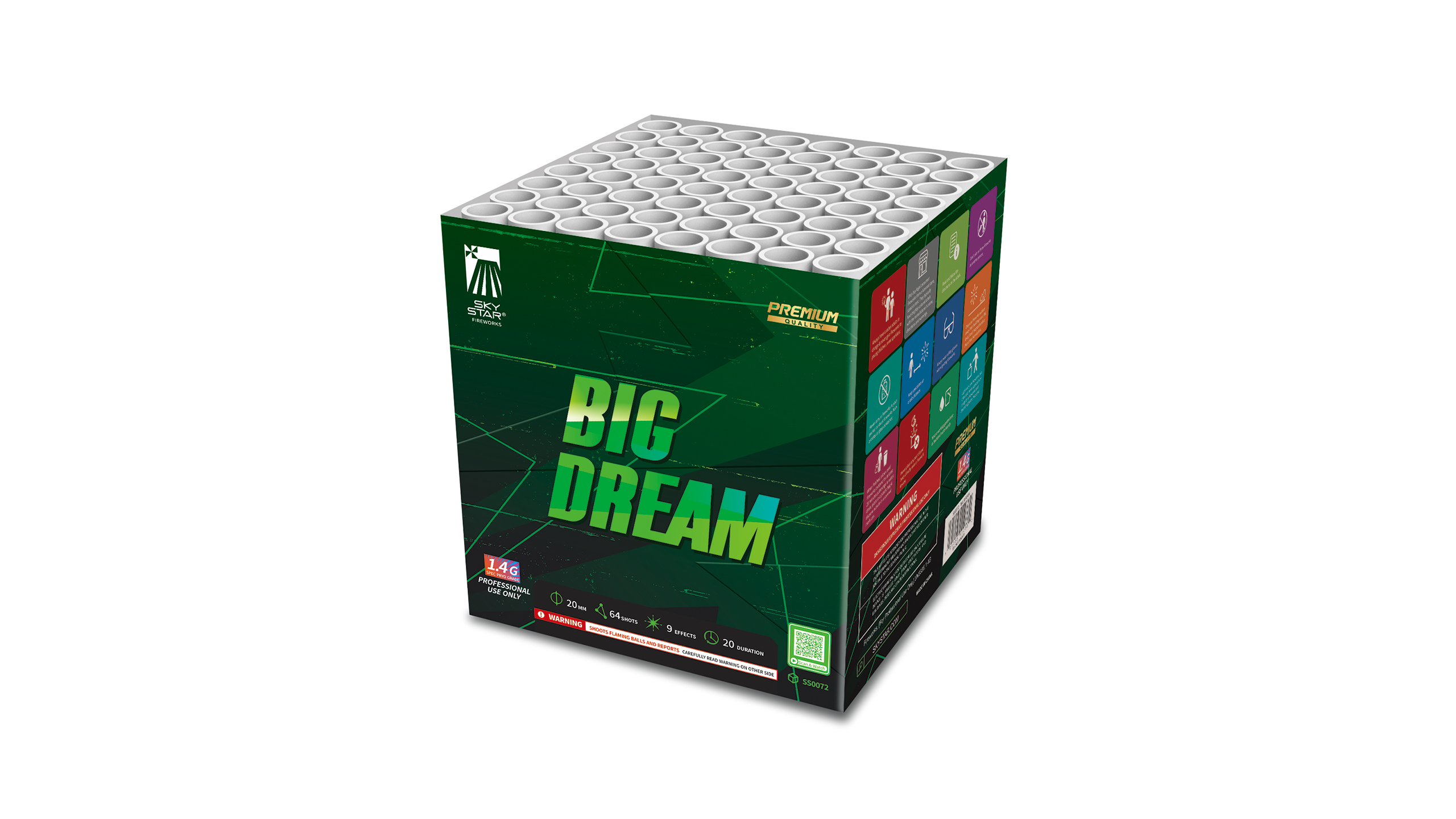 BIG DREAM